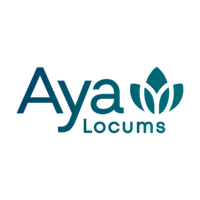 ayalocums.com Logo