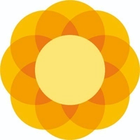 birminghamchildrenstrust.co.uk Logo