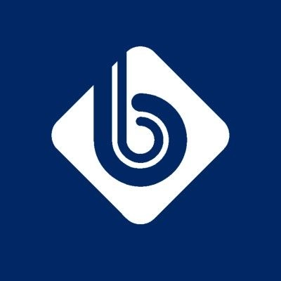 BluBiz Solutions logo