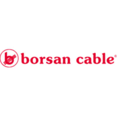 Borsan logo