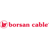 borsan.com.tr Logo