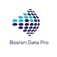 bostondatapro.com Logo