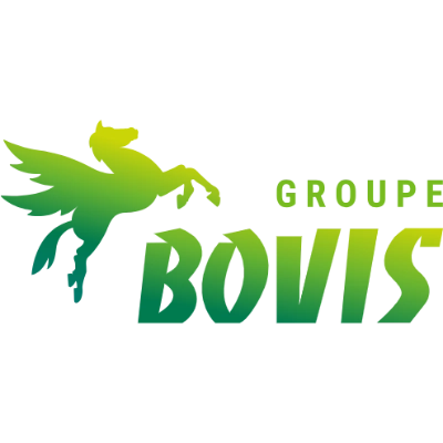 Bovis Group Logo