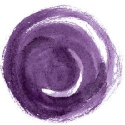 BPCE IT Solutions Logo