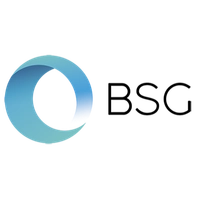bsg.it Logo