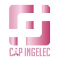 capingelec.com Logo