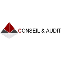 conseilaudit.com Logo