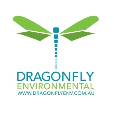 Dragonfly Environmental (DFE) Logo