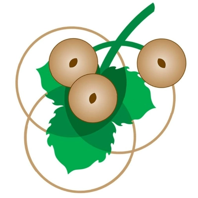 ELMFIELD SCHOOL Logo