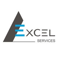excelservices.biz Logo