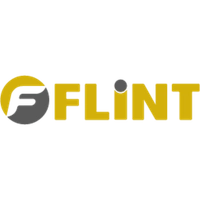flint-international.com Logo