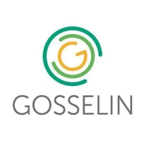 gosselingroup.eu Logo