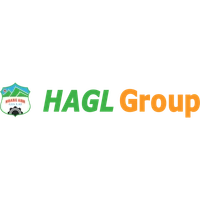 hagl.com.vn Logo