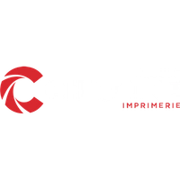chicoine.ca Logo