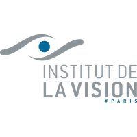 institut-vision.org Logo