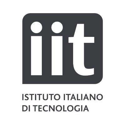 Italian Institute of Technology Logo