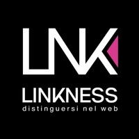 linkness.com Logo