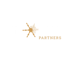 lynceus-partners.com Logo