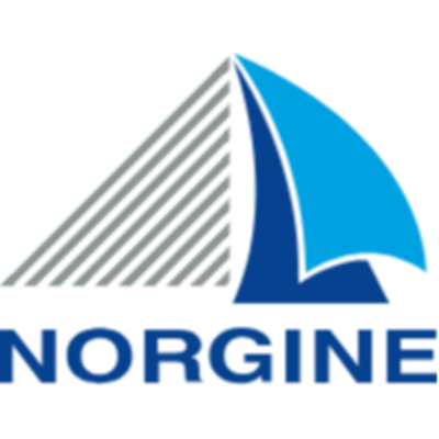 Norgine Logo