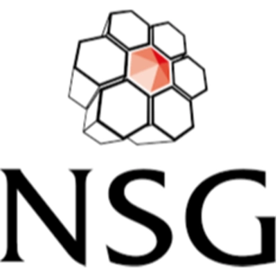 NSG Environmental Ltd Logo