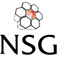 nsgltd.com Logo