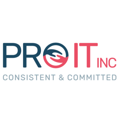 Pro IT Logo