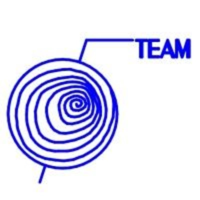 Team Group logo